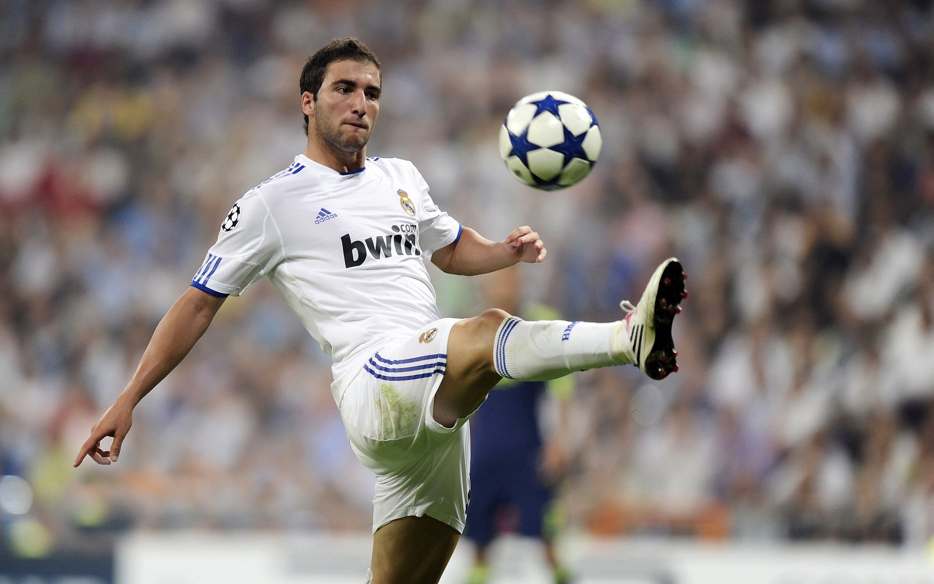 _奇才队士气如虹，不屈不挠取胜_，奇才队员